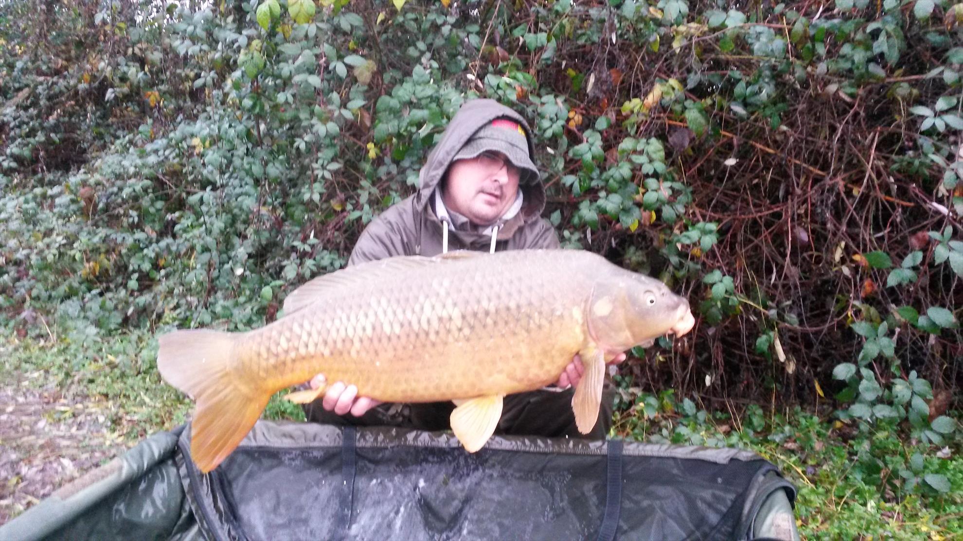 ISOLA DEL PESCATORE 1 decembrie 2014 - 20141201102604.jpg